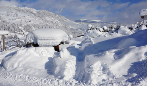 Neuhaus-Winter-3